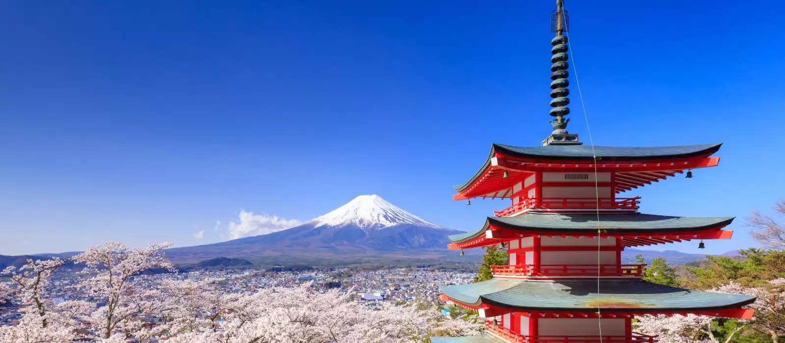 2026 World Sale on now