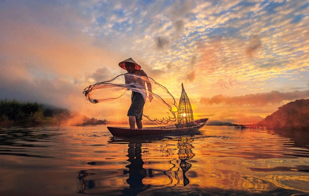 Exclusive Collection Tours