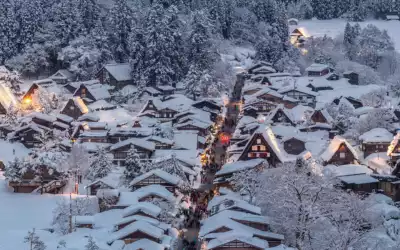 Christmas Collection