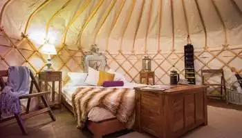 Gobi Tour Bayanzag Ger Camp