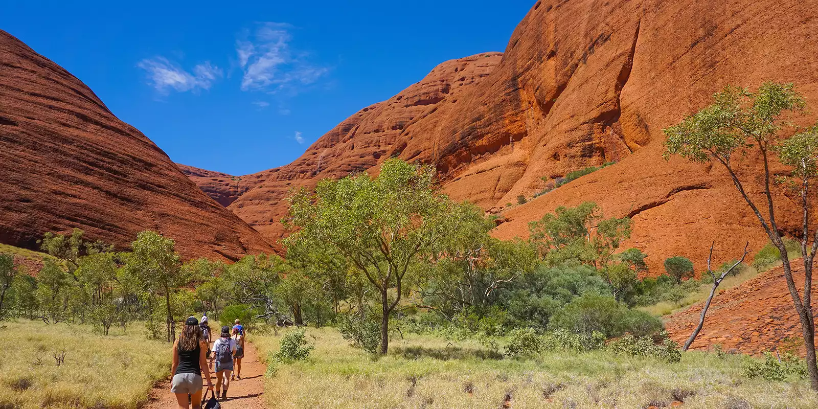 Kings Canyon Holidays