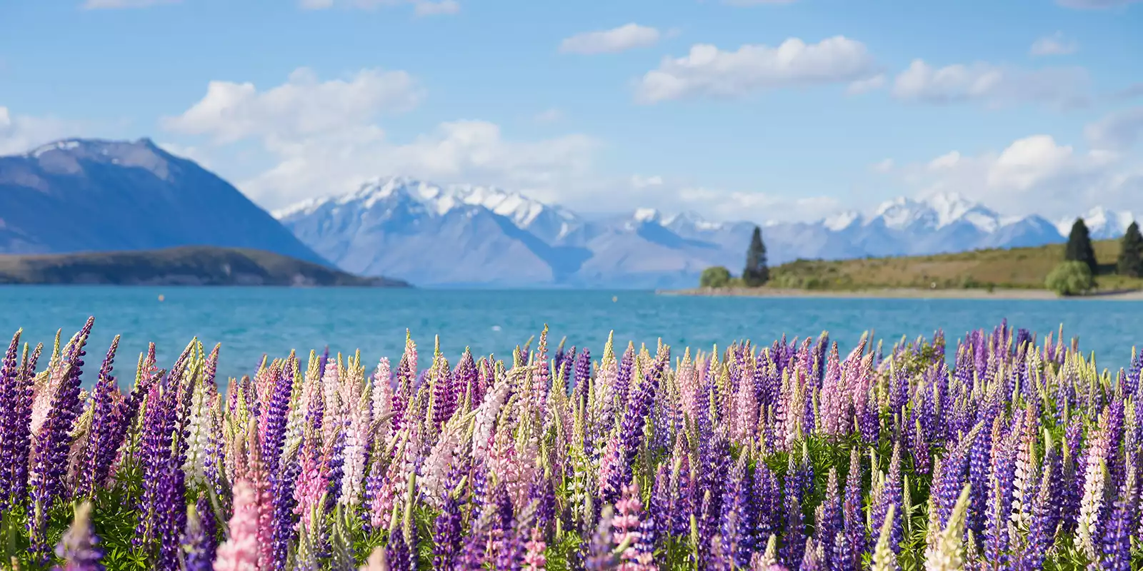 Places to Visit in New Zealand