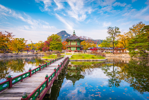 Essence of South Korea & Japan