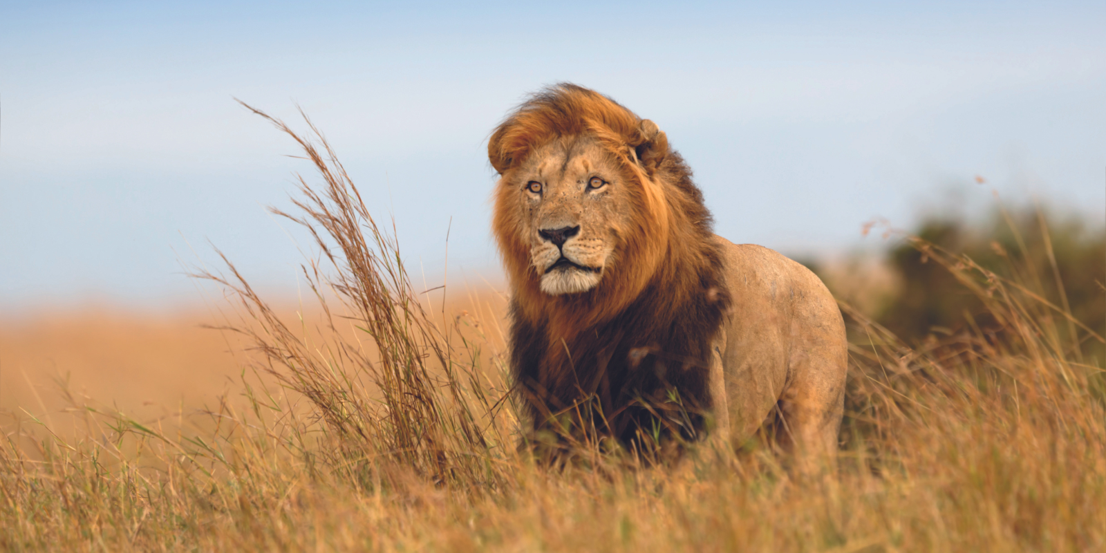 South Africa Holidays