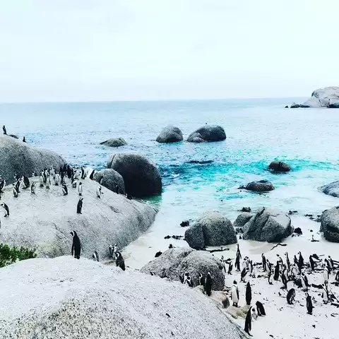 Boulders Beach