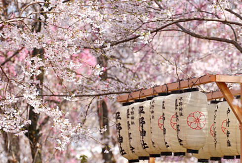 Best of Japan