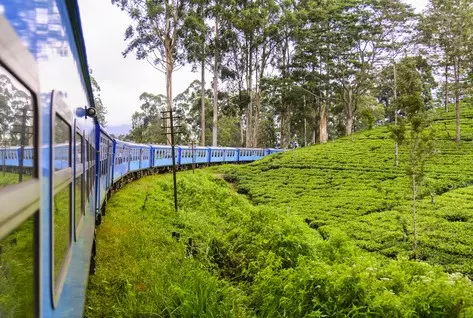 Day 6: Scenic train to Nuwara Eliya