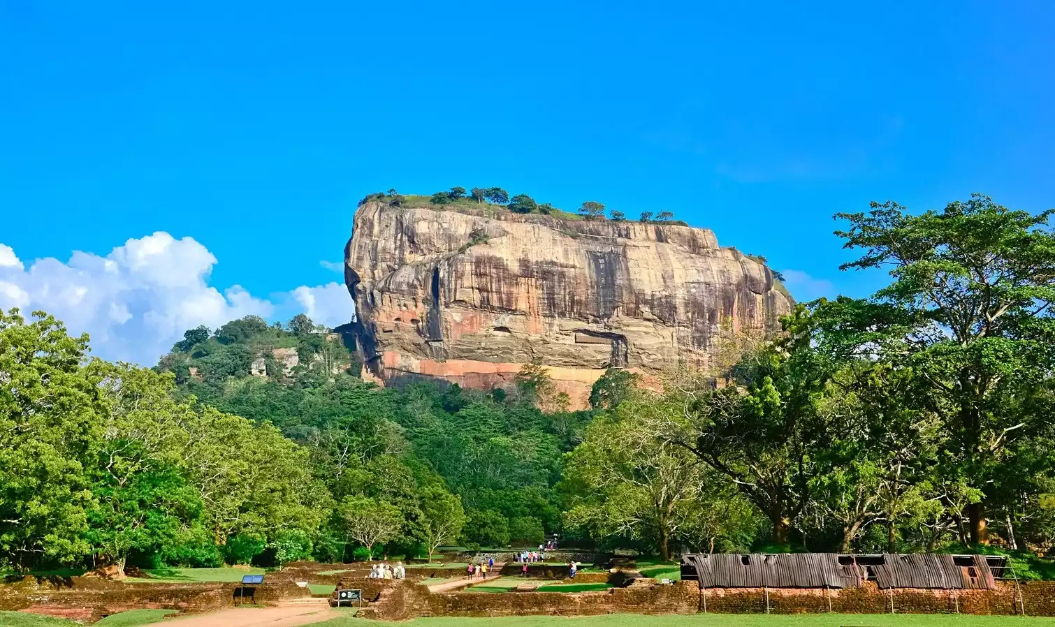 Sri Lankan Splendour