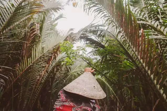 Day 13: Mangrove Experience