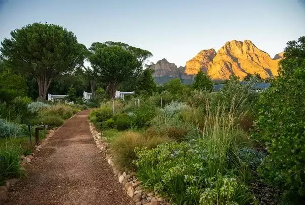 Day 13: The Winelands