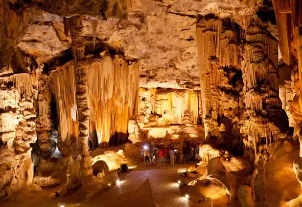 Day 10: Knysna to Cape Town