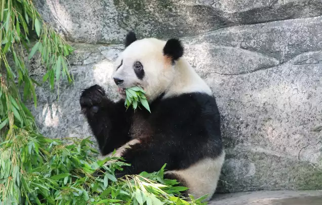 DAY 8: CHENGDU TO XIAN