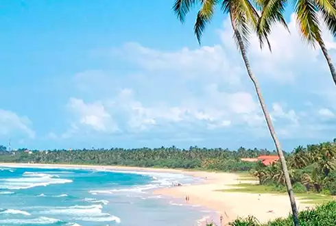 Bentota Beach Stay