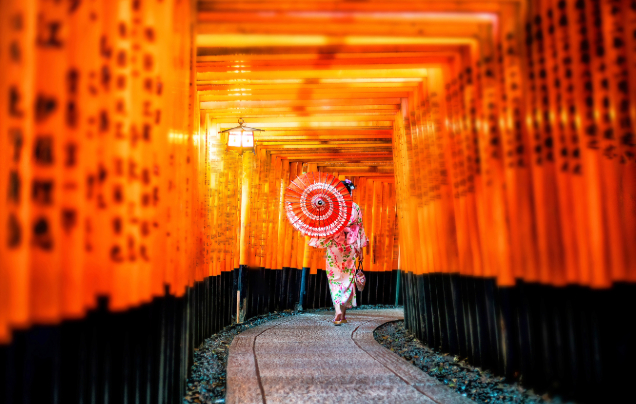 Day 10: Cruise – Explore Kyoto