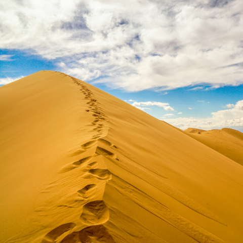 Gobi Desert