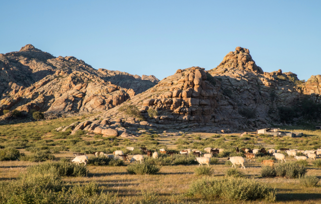 DAY 13: Mount Khogno Khan