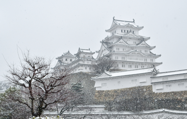 Day 15: Himeji Castle