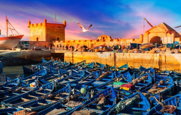 Day 15: Travel to Essaouira