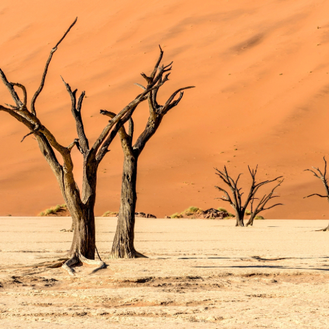 Sossusvlei