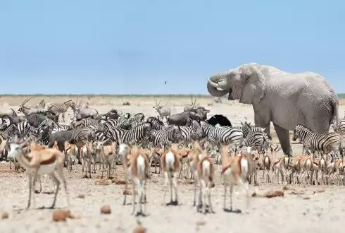 Namibia Adventure 