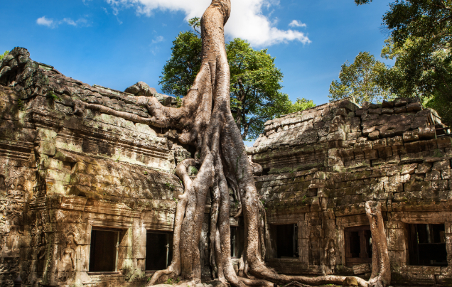 Day 8: Explore Angkor
