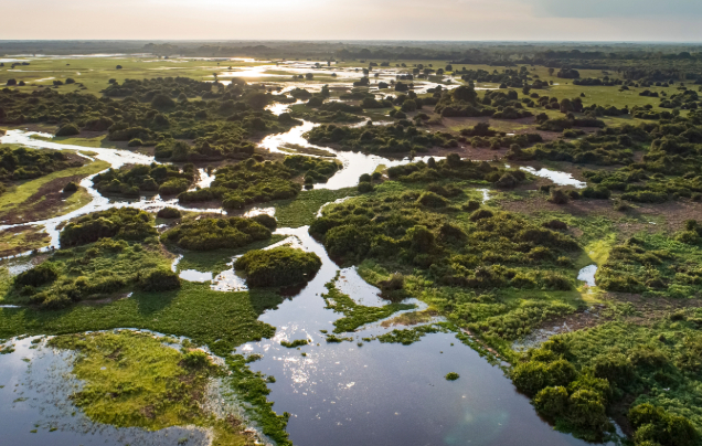 Day 6: Into the Pantanal