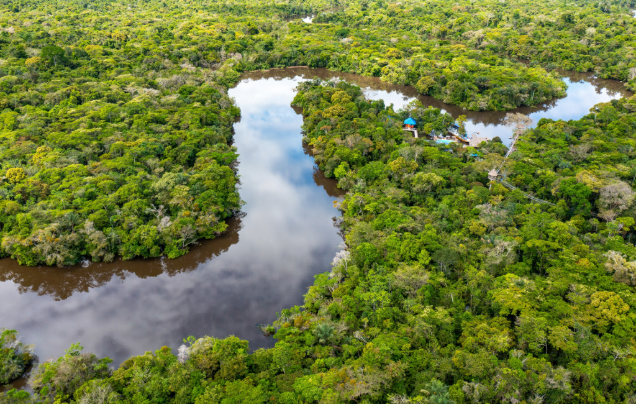 Day 8: Into the Amazon