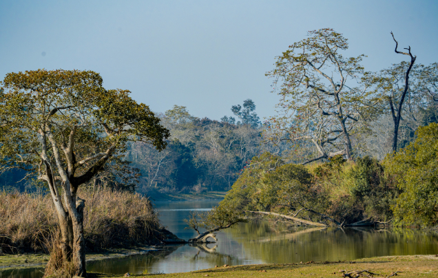 Distance From Guwahati Airport To Kaziranga National Park www.wendywutours.co.nz