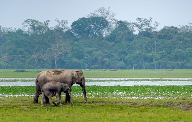 Day 3: Explore the Park