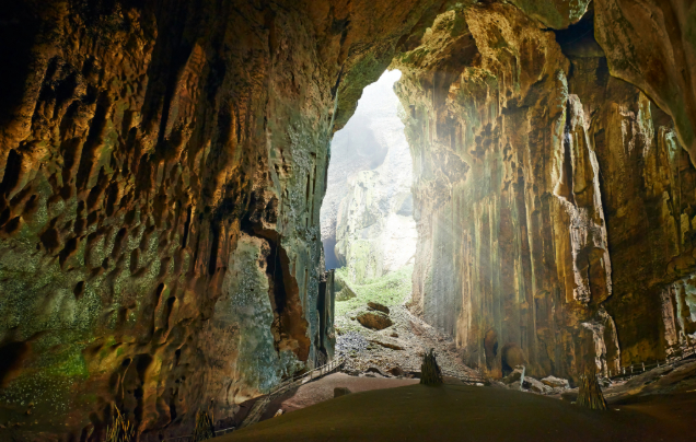 Day 7: Explore Sukau