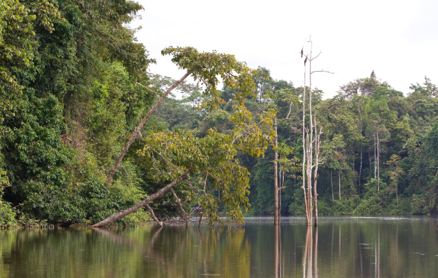 Day 8: Return to Kota Kinabalu