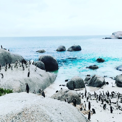 Boulders Beach
