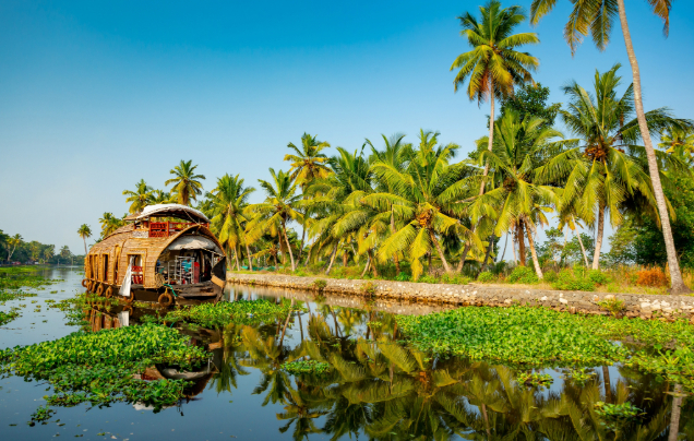 Day 4: Cruise the Backwaters
