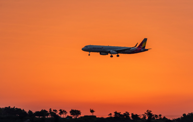 Days 23-24: Fly Osaka to New Zealand