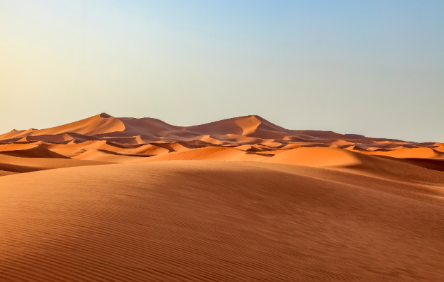 Day 13: Desert Adventure