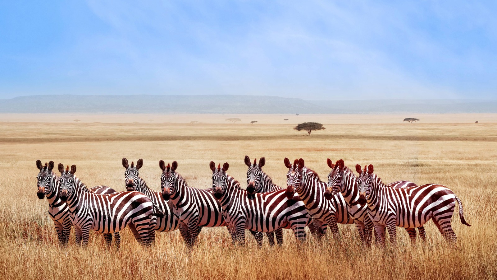 Tanzania Tours