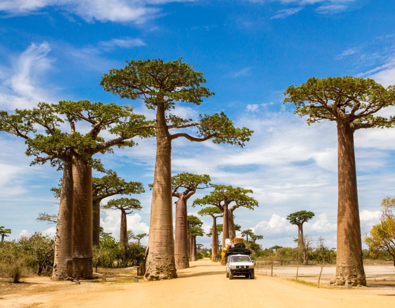 Madagascar