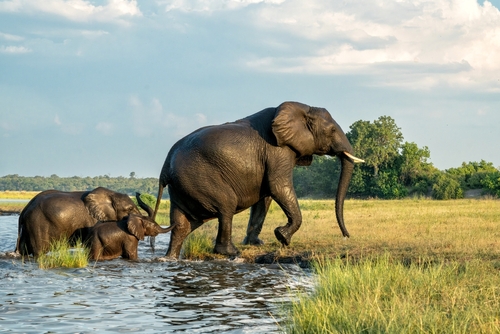 Botswana
