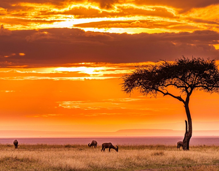 Tanzania