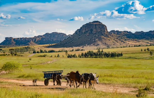 Day 11: Into the South