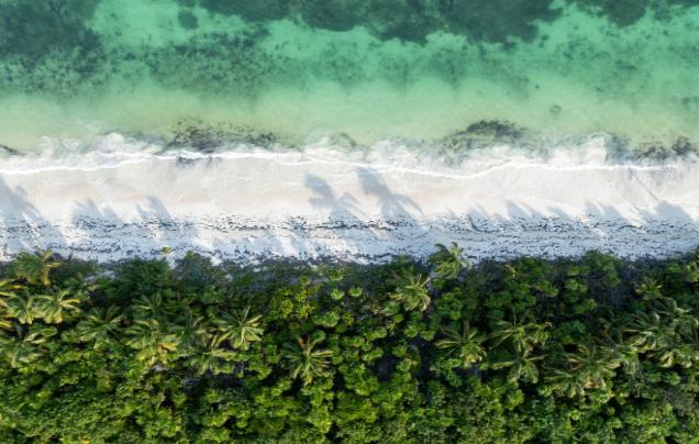 Day 1: Arrival in Tulum