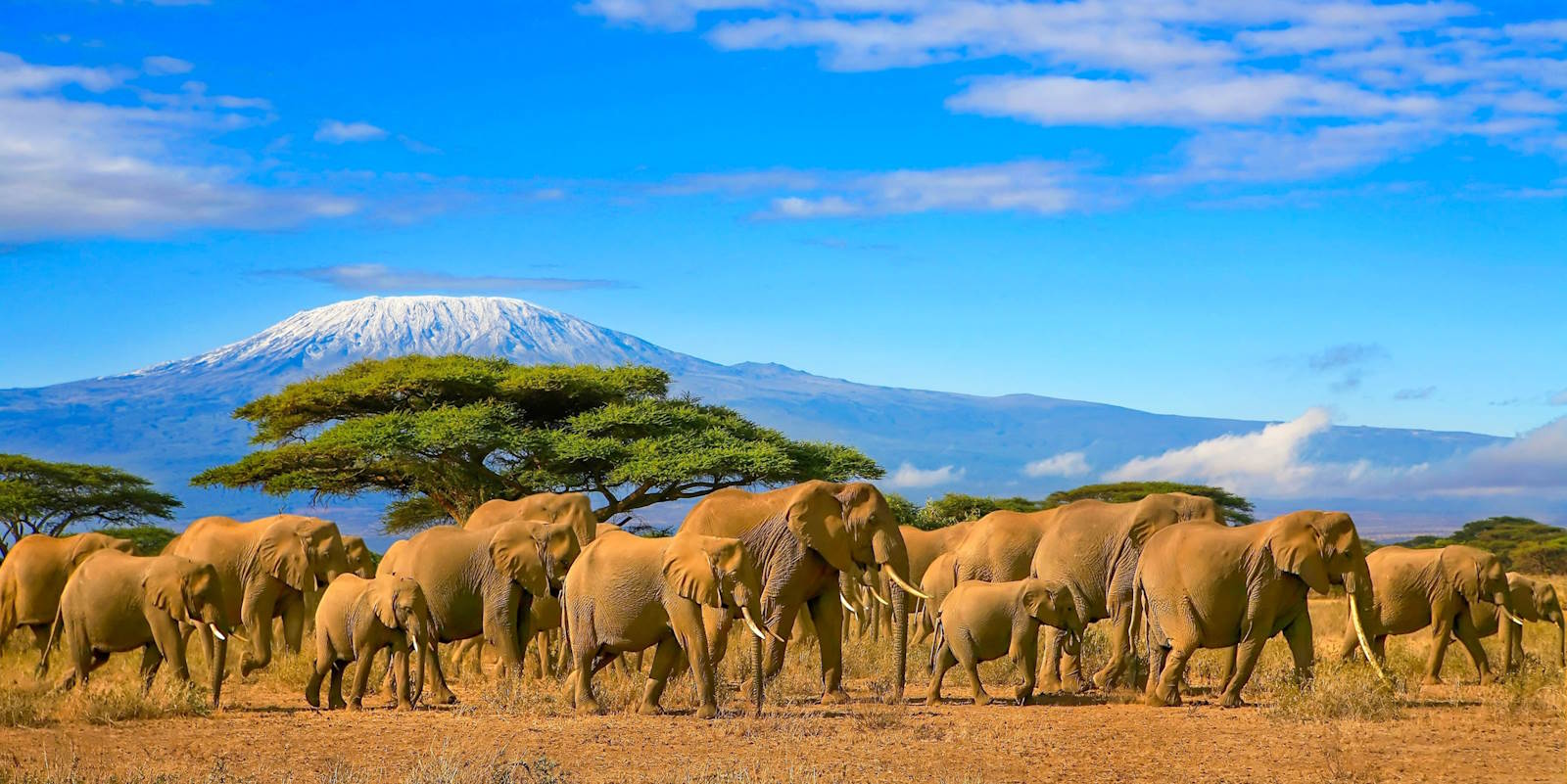 Wildlife Tour Destinations