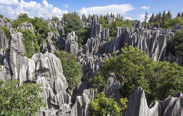 Day 3: Discover the Stone Forest