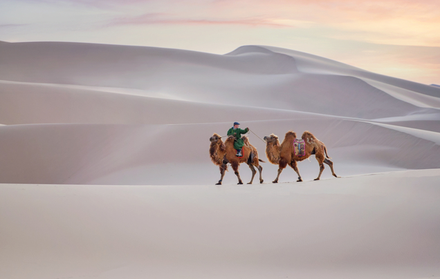 Day 7: Sand dunes of Khongoryn Els
