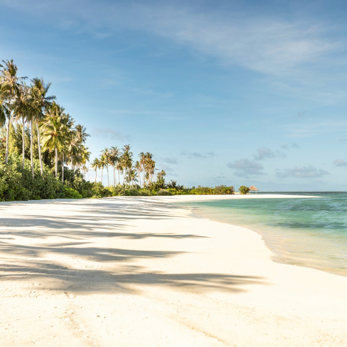 Group Tour & Beach Stay