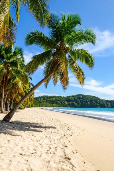 Tamarindo