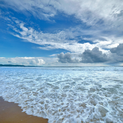 Goa 