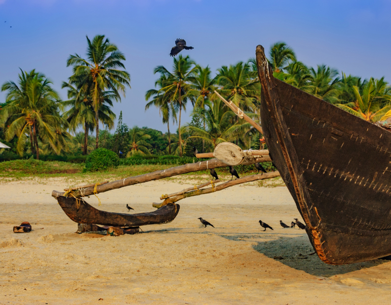 India Explored & Goa Beach