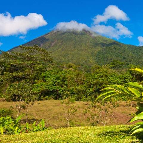 Arenal