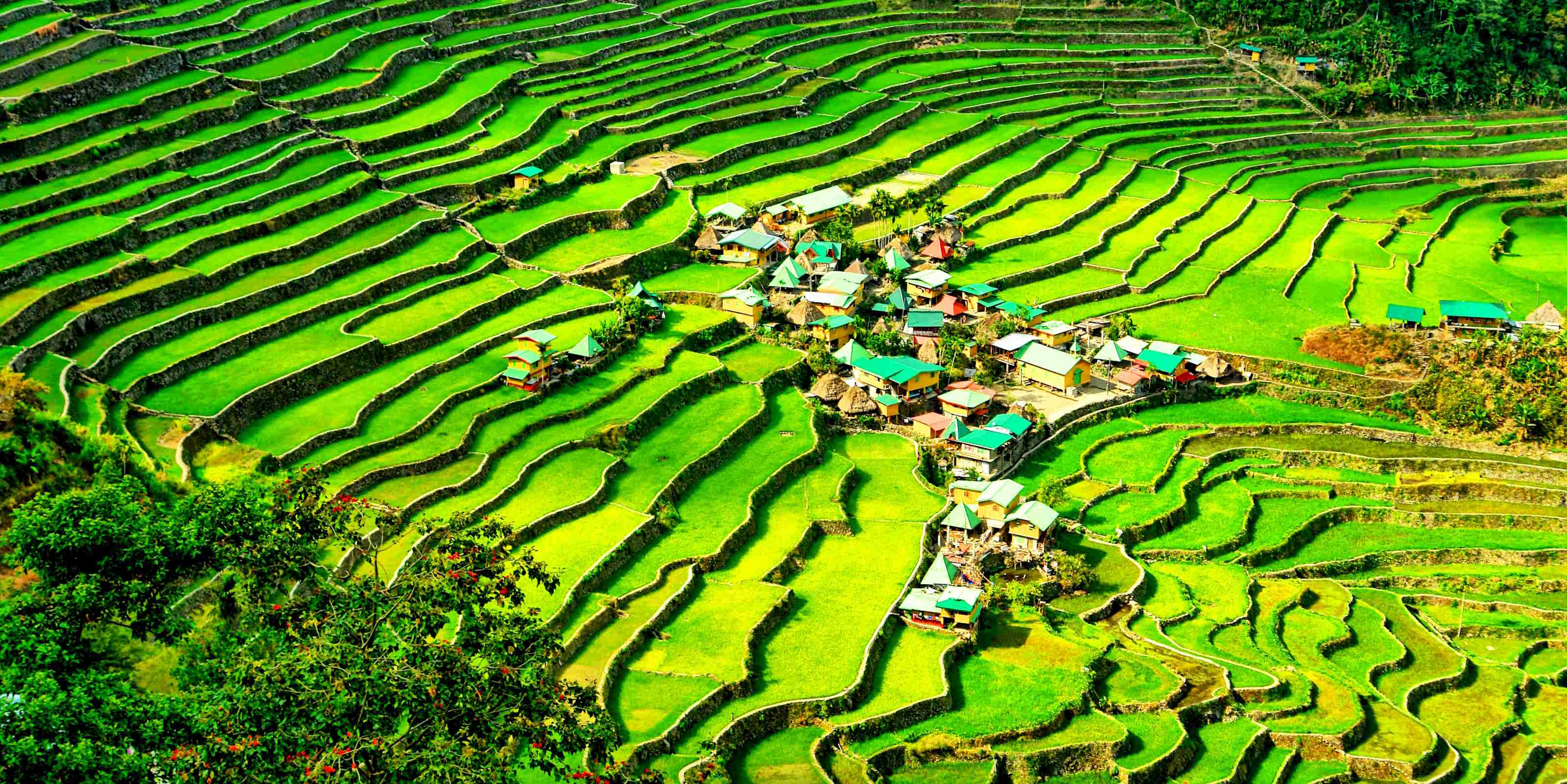 Banaue Holidays
